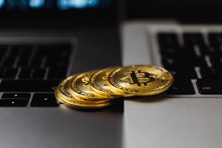 The Digital Euro: Accessibility as a Pillar of Monetary Adoption